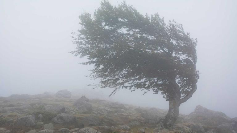 Sicherheit der Montagebauweise