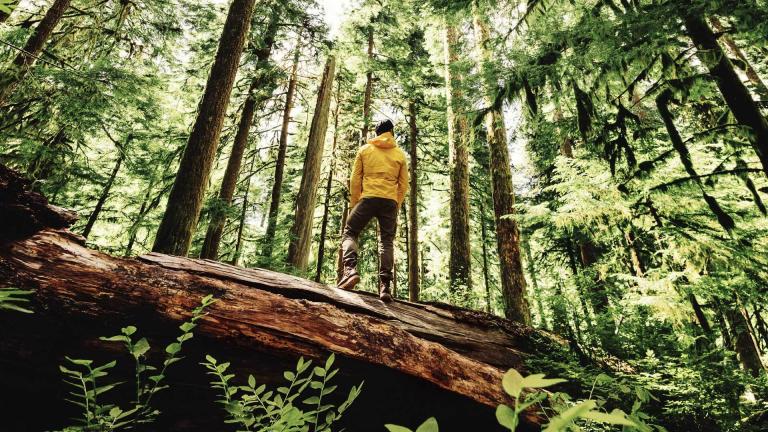 Nachhaltigkeit unseres Unternehmens
