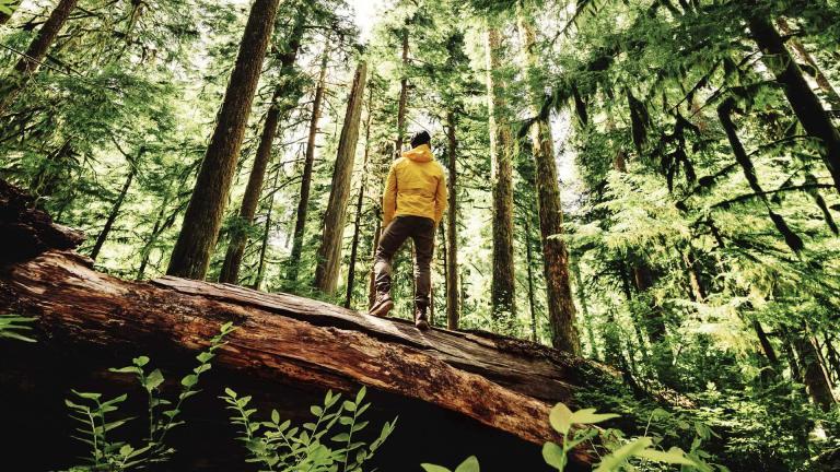 Grüne Verpflichtungen von Lumar