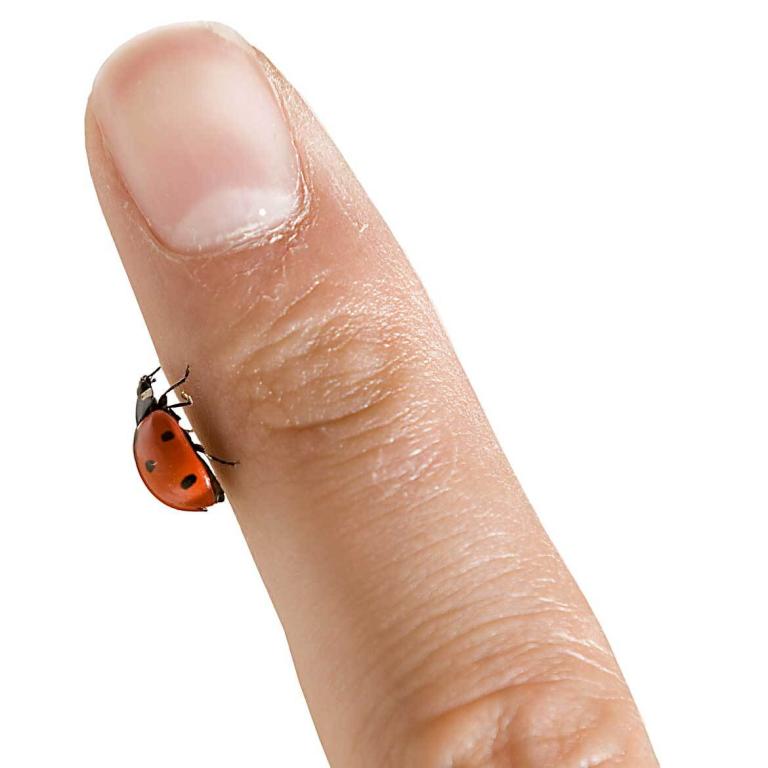 Vom Zeichenbrett Lumar