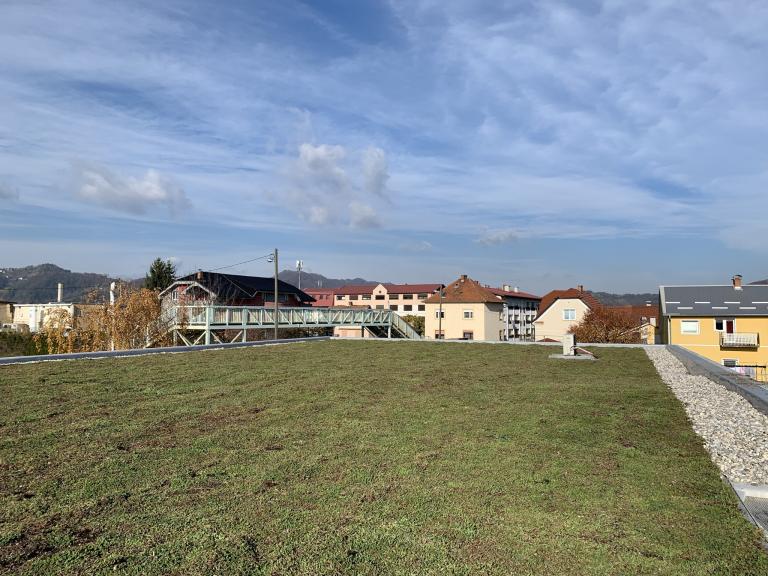 Mit einem begrünten Dach erfüllen wir einen Teil unserer grünen Verpflichtung